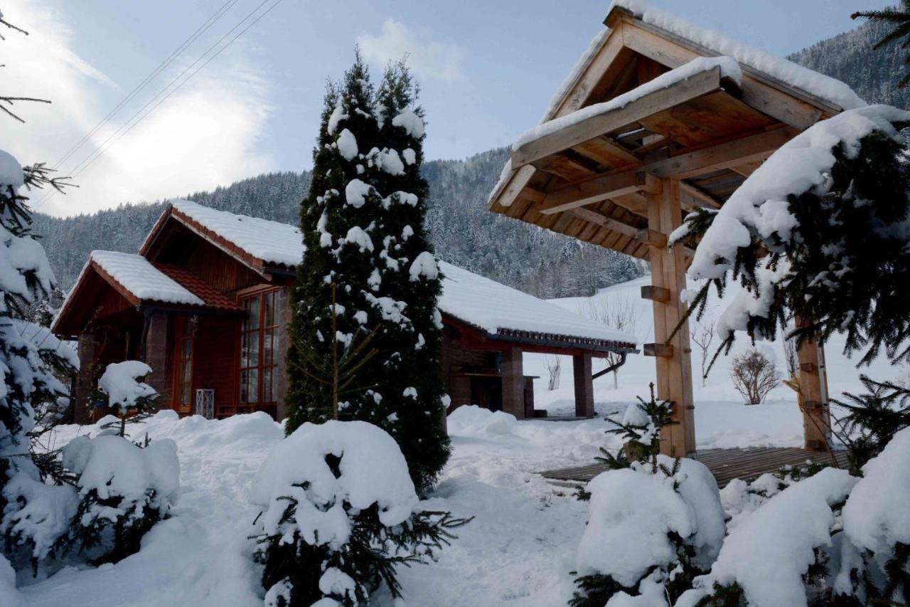 Villa Studio Alpika à Luče Extérieur photo